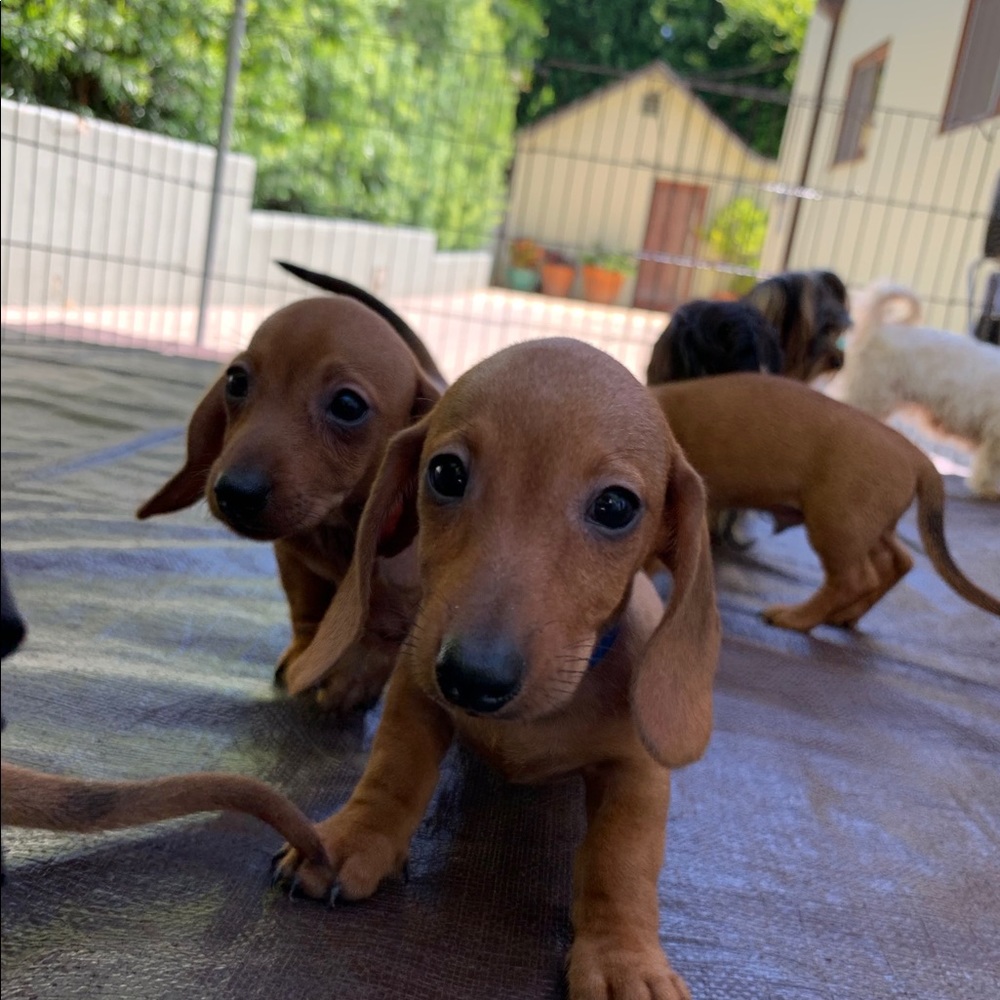 Meet your Posher, Brooke